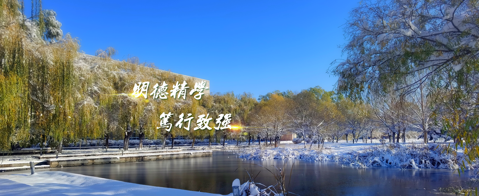 雷竞技最新app